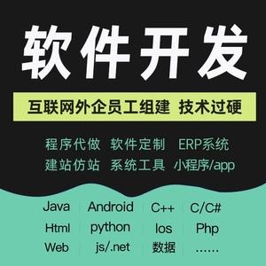 计算机程序设计java专业ssm系统jsp网站vue定制c#软件安卓php开发